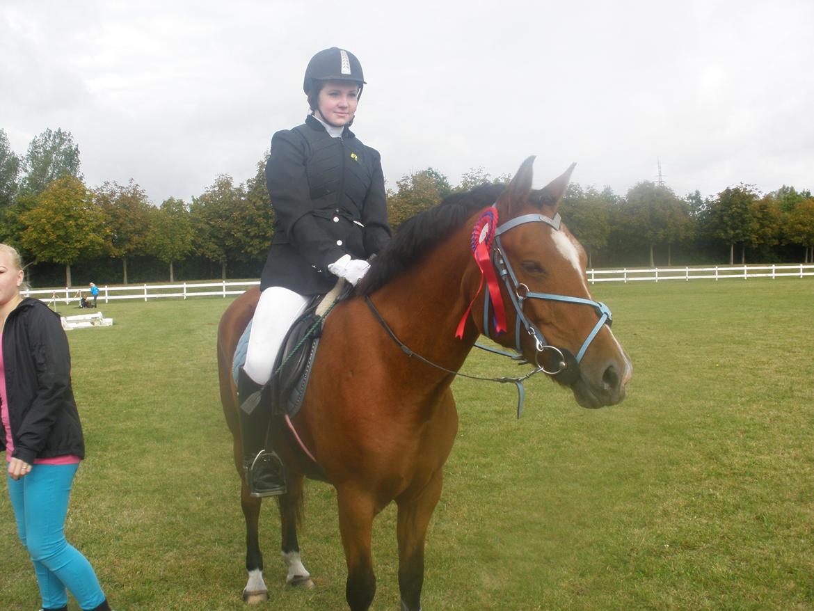 Anden særlig race Mistery Dancer (Misse)SOLGT billede 42