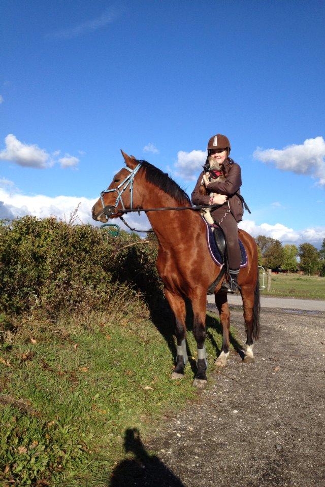 Anden særlig race Mistery Dancer (Misse)SOLGT billede 43