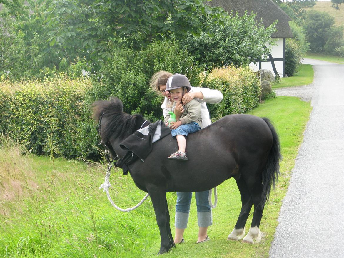 Dartmoor Don Juan - *Nyt* billede 17