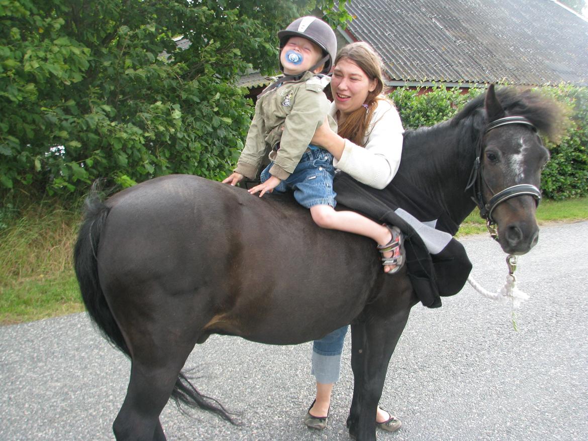 Dartmoor Don Juan - *Nyt* What the heck? :P billede 20