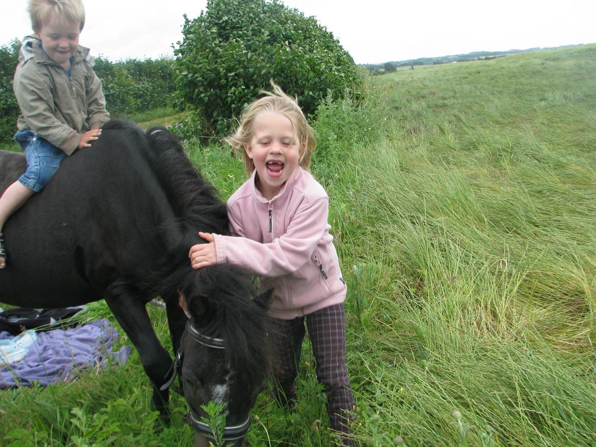 Dartmoor Don Juan - *Nyt* En god dag for dem alle 3 :) billede 14