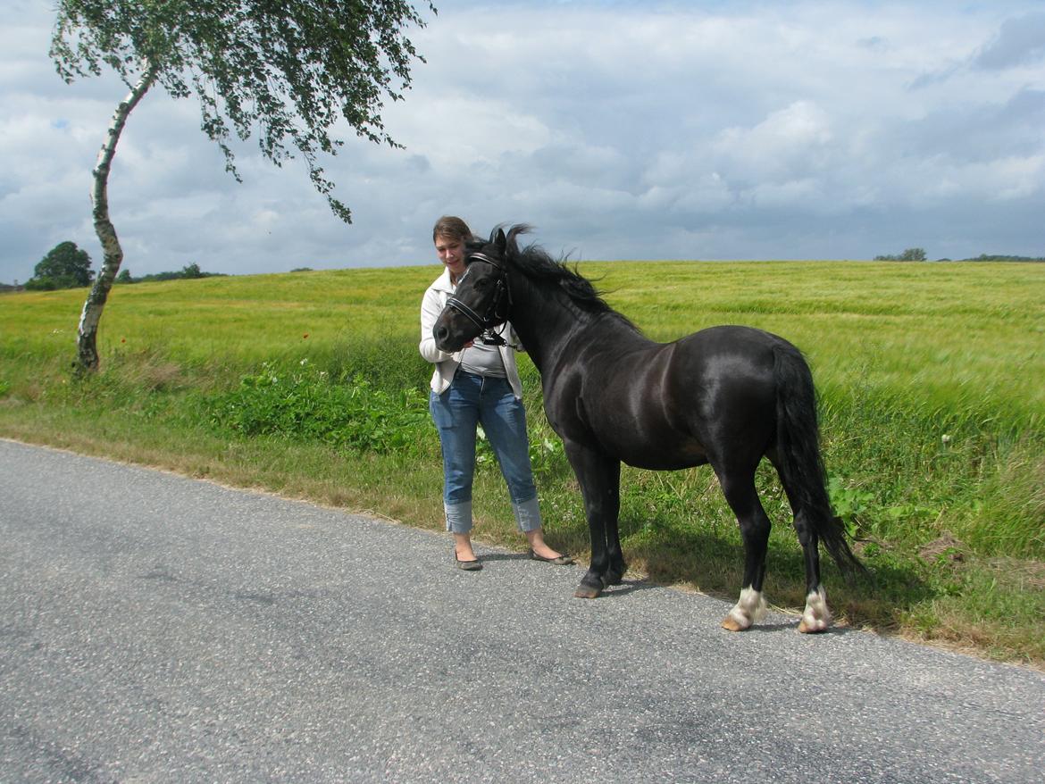 Dartmoor Don Juan - *Nyt* billede 18
