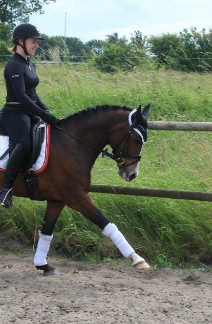 DSP Lundgaards Friday billede 39