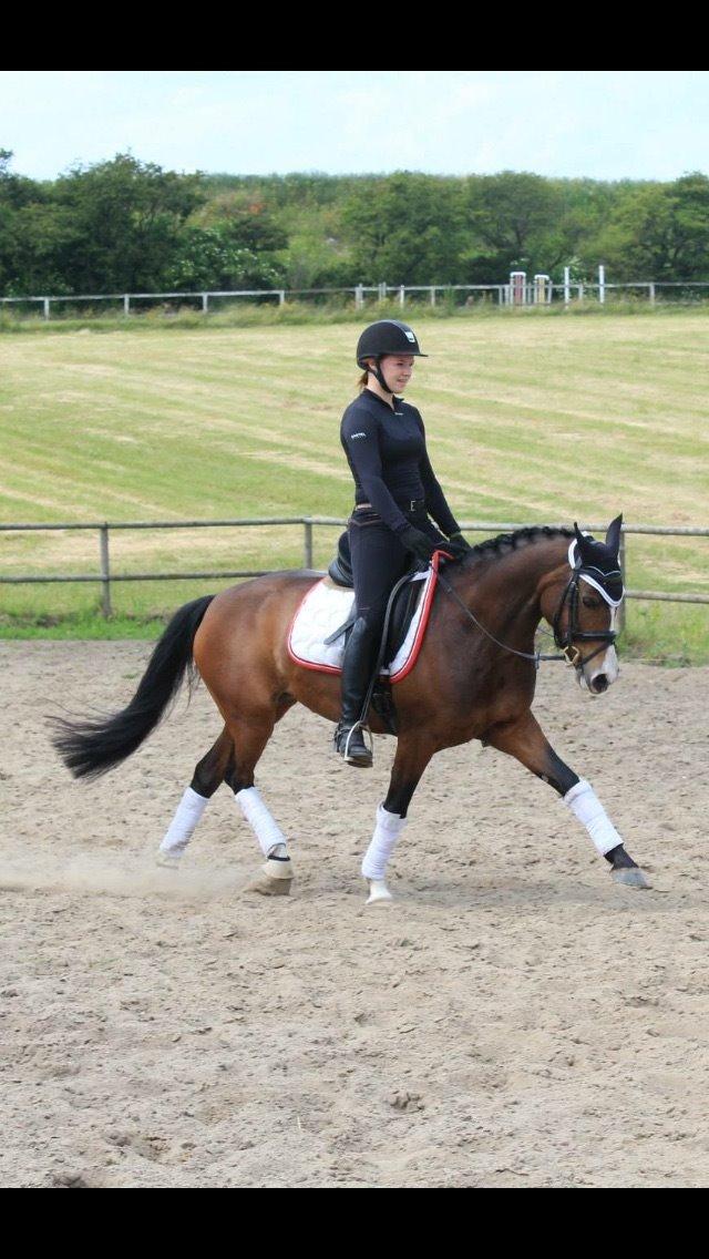 DSP Lundgaards Friday billede 40