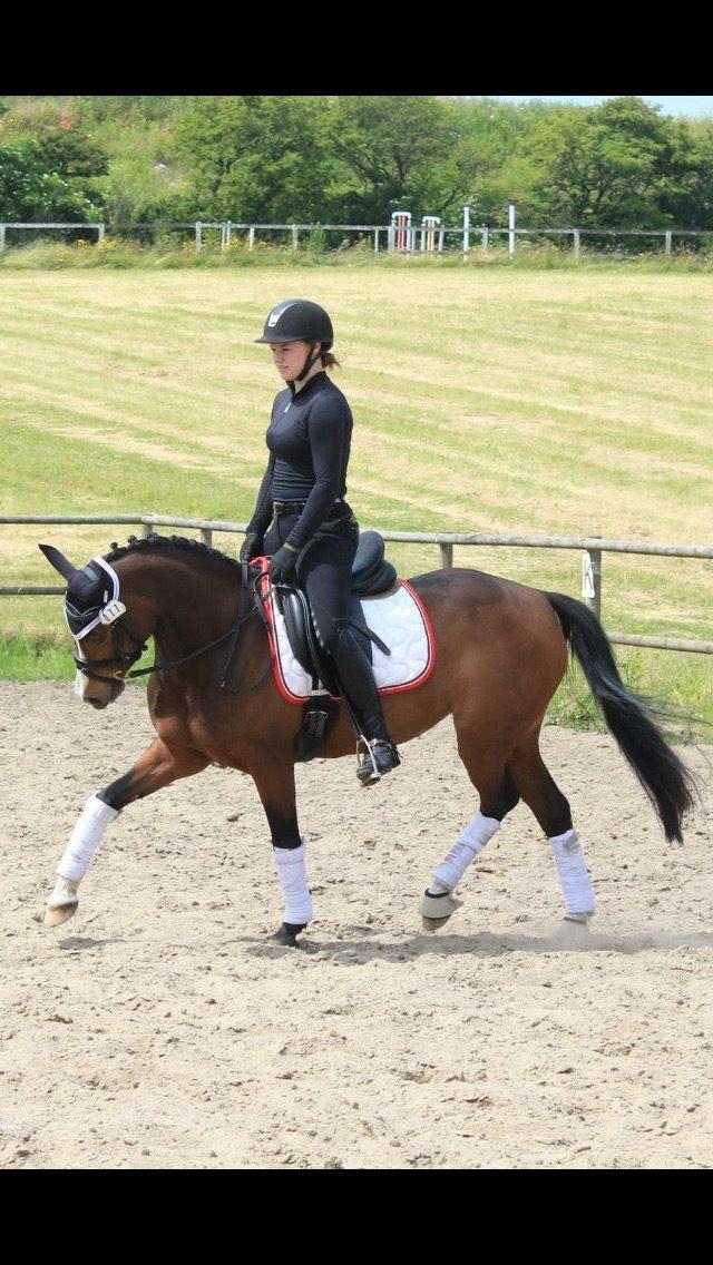 DSP Lundgaards Friday billede 43