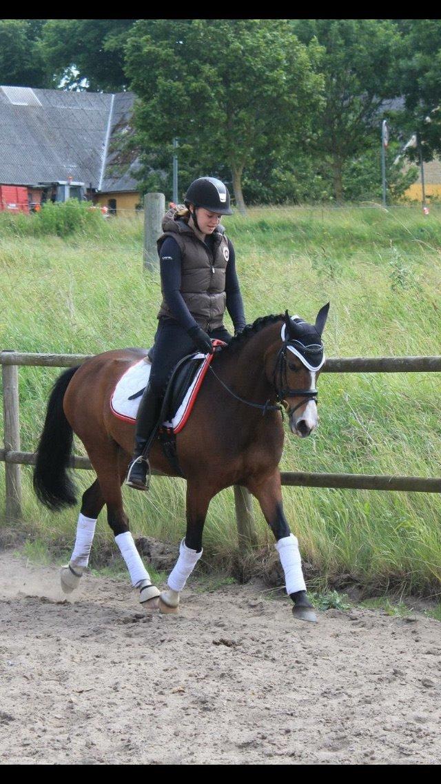 DSP Lundgaards Friday billede 42