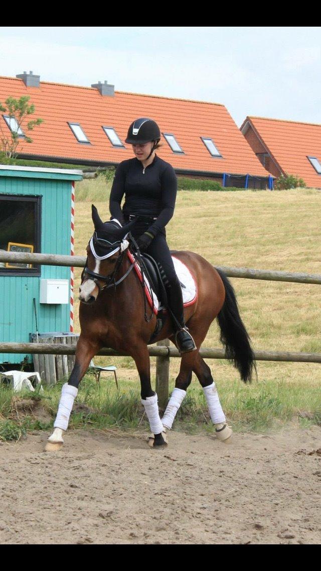 DSP Lundgaards Friday billede 45