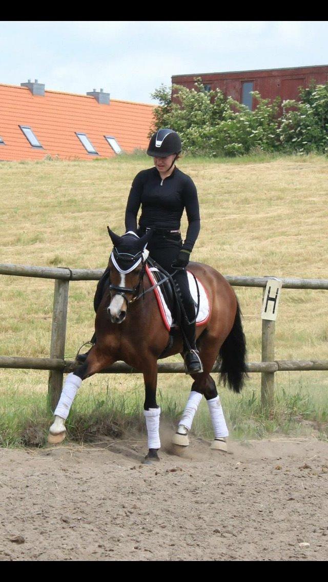 DSP Lundgaards Friday billede 44