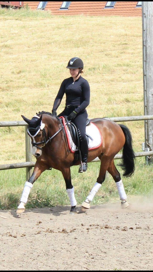 DSP Lundgaards Friday billede 47