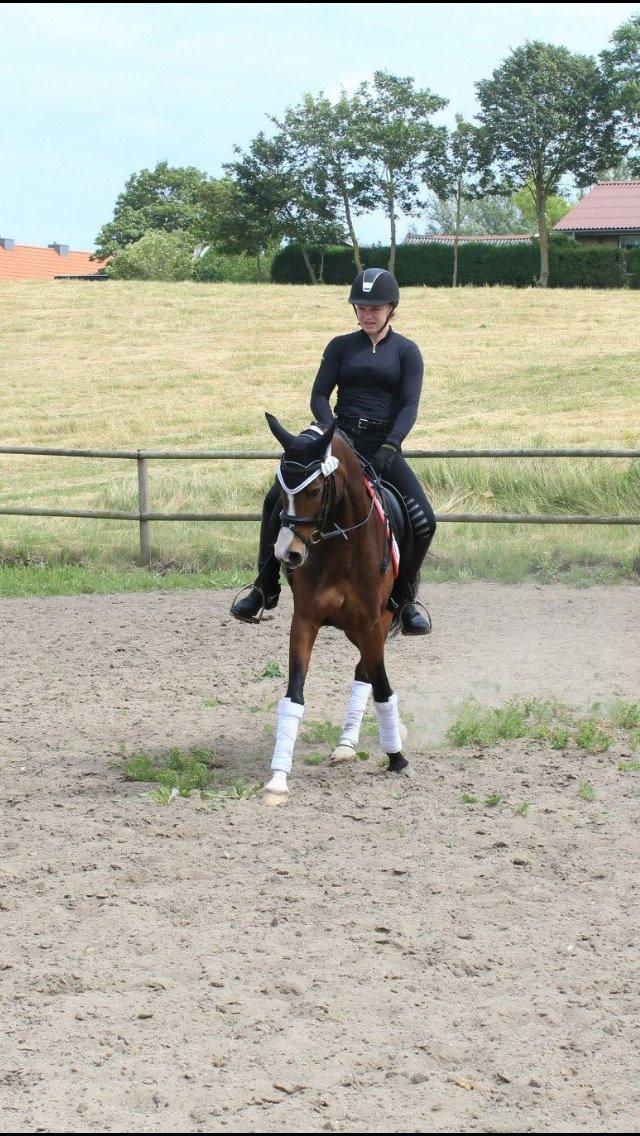 DSP Lundgaards Friday billede 48