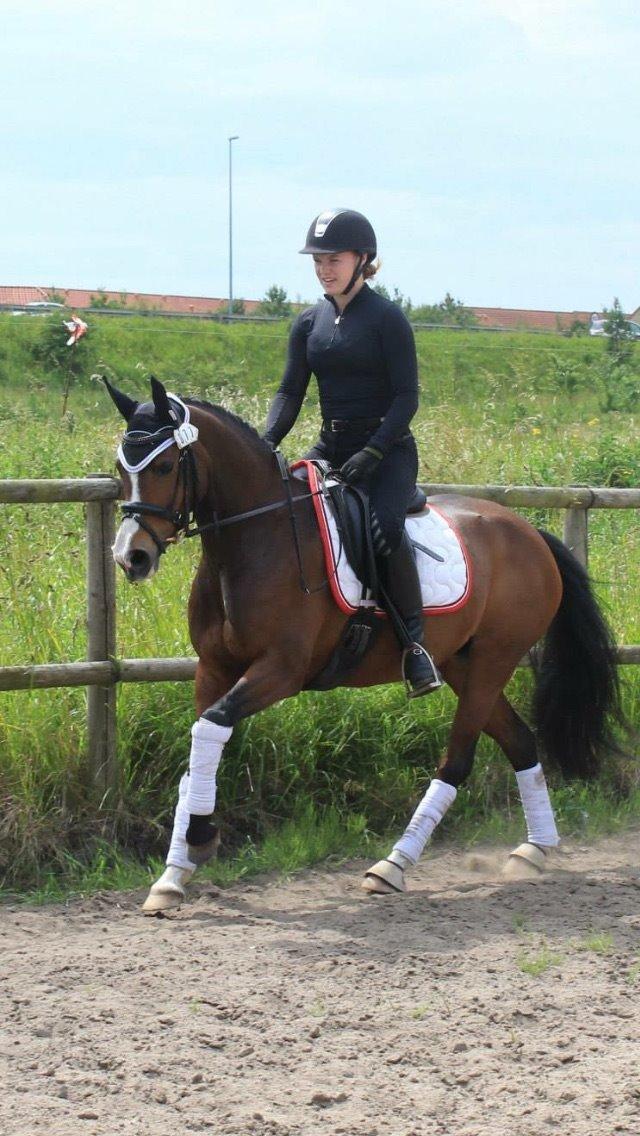 DSP Lundgaards Friday billede 49