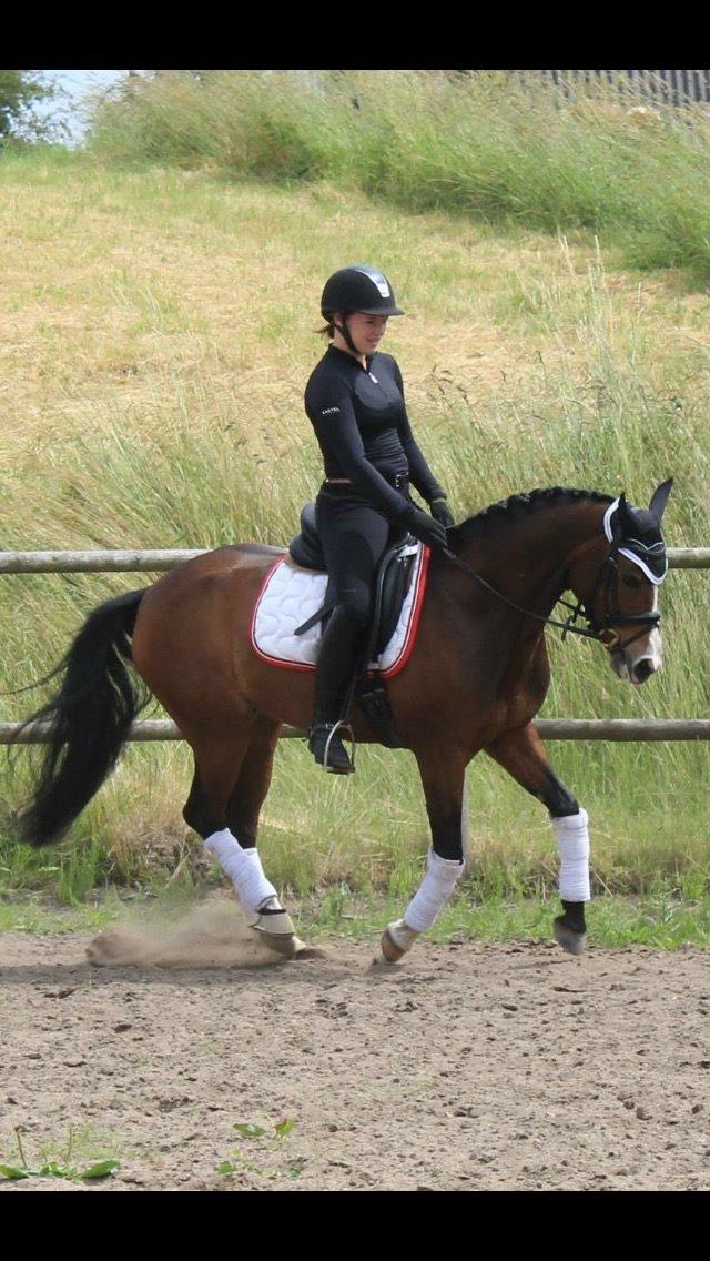 DSP Lundgaards Friday billede 50