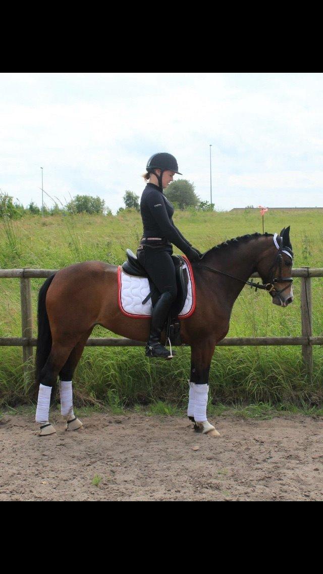 DSP Lundgaards Friday billede 46