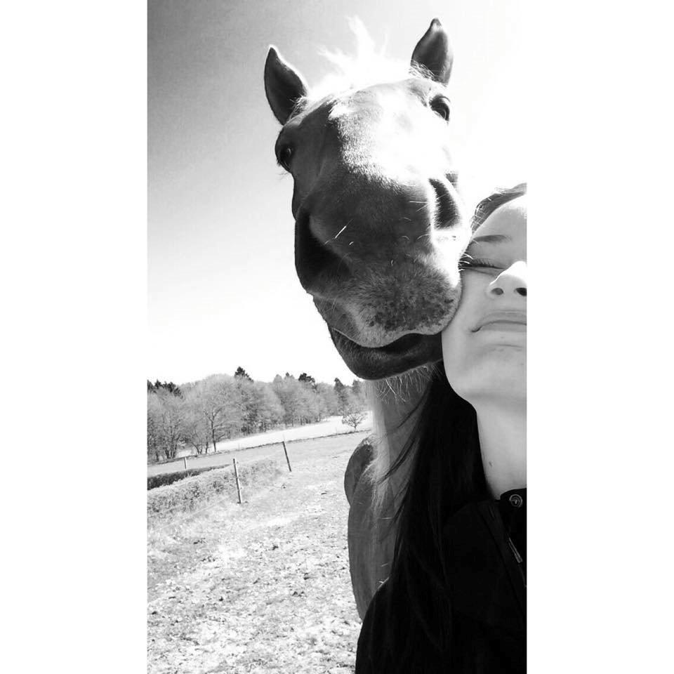 Frederiksborg | Ajaxander Jones (Ajax) billede 1