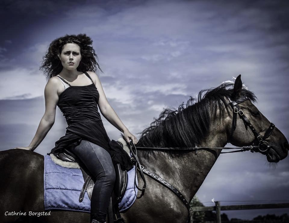 Hollandsk Varmblod Ravel billede 5