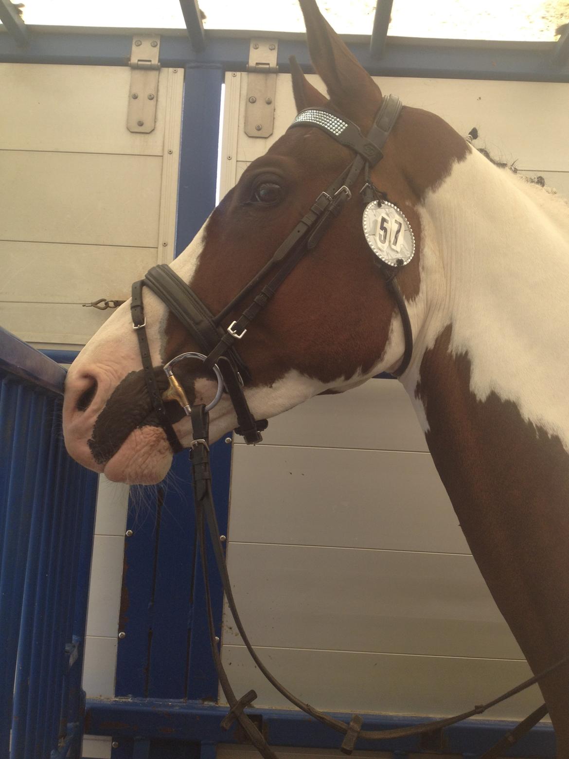 Pinto Estruplunds Chablis - Chablis i lastbilen.<3 billede 4