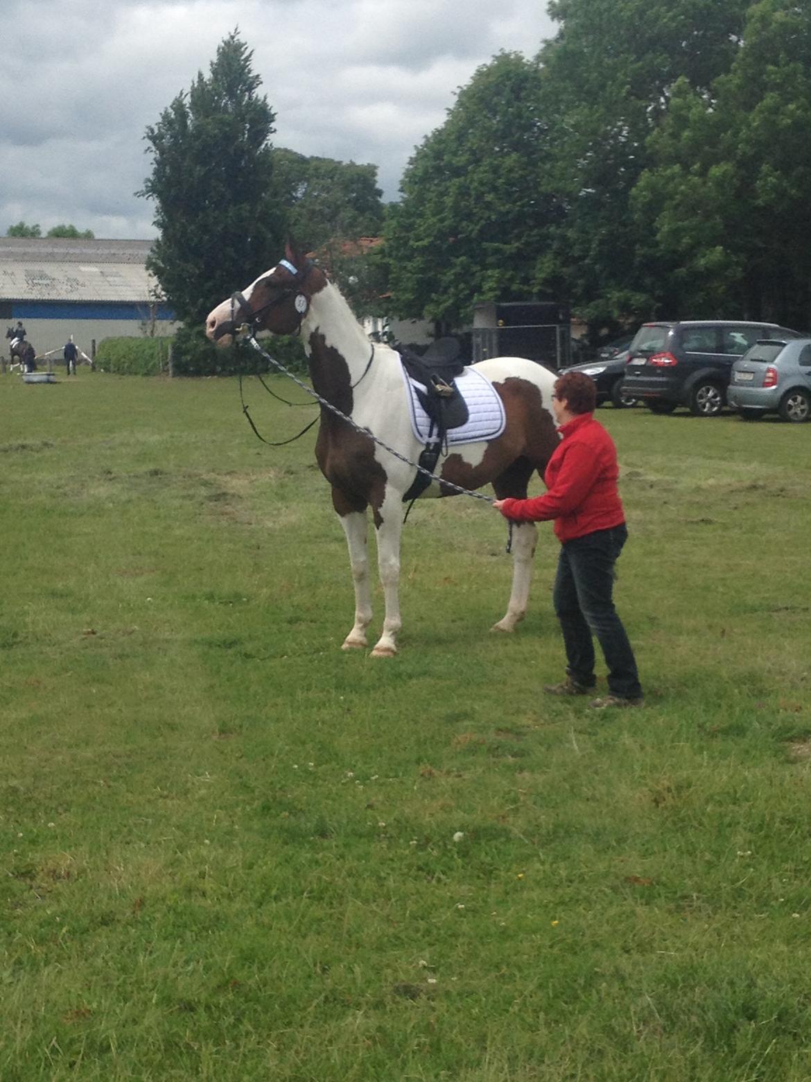 Pinto Estruplunds Chablis - Nu stikker du vel ikke af Blibsen.. billede 5