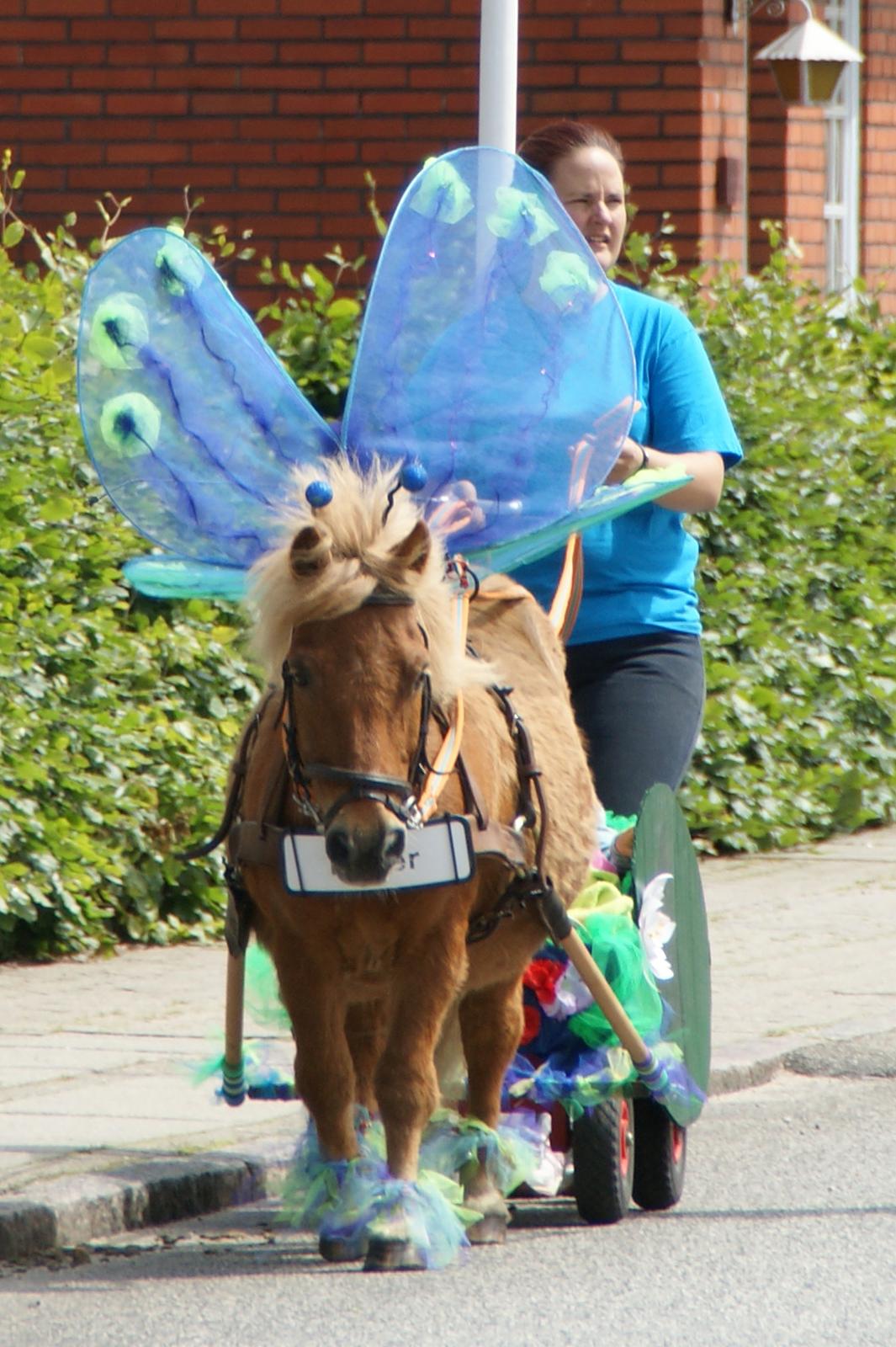 Anden særlig race Buller Lautrup - Pramdrager 2015, her som Tommelise's sommerfugl og naturligvis med Tommelise i åkandevognen bagved.  billede 7