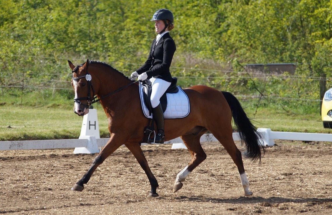 Anden særlig race Supér aka PONY - ENERGIBOMBEN |Solgt| billede 19