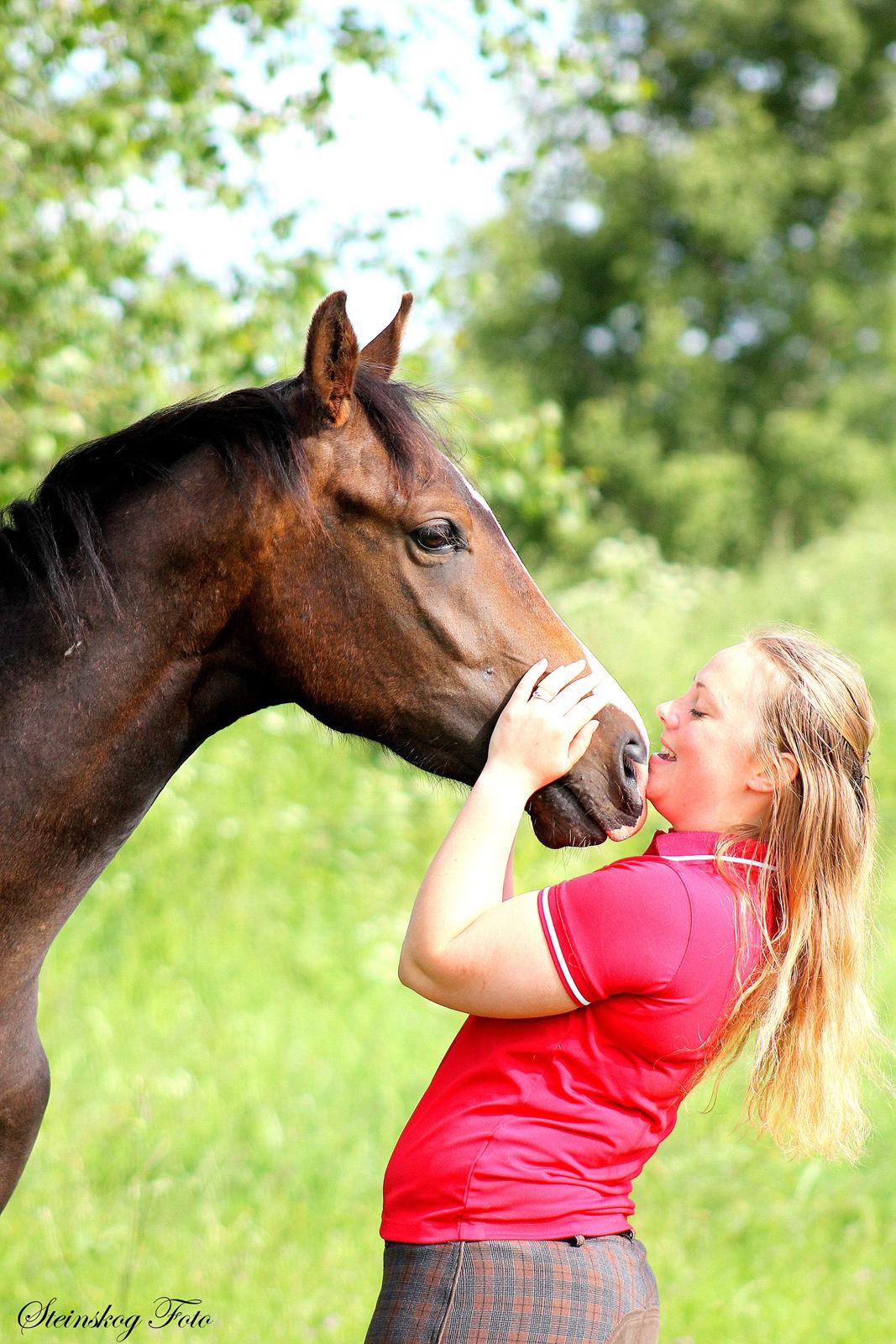 Dansk Varmblod De Mirago - Billede fra hans 2 års fødselsdag billede 7