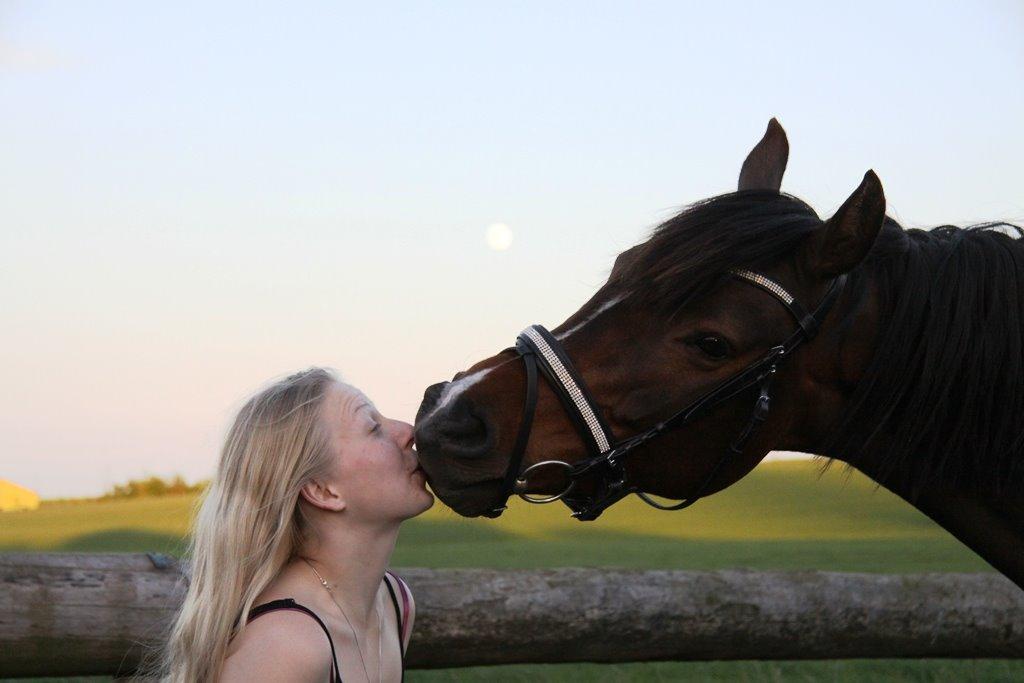 Holstener Waltea billede 23