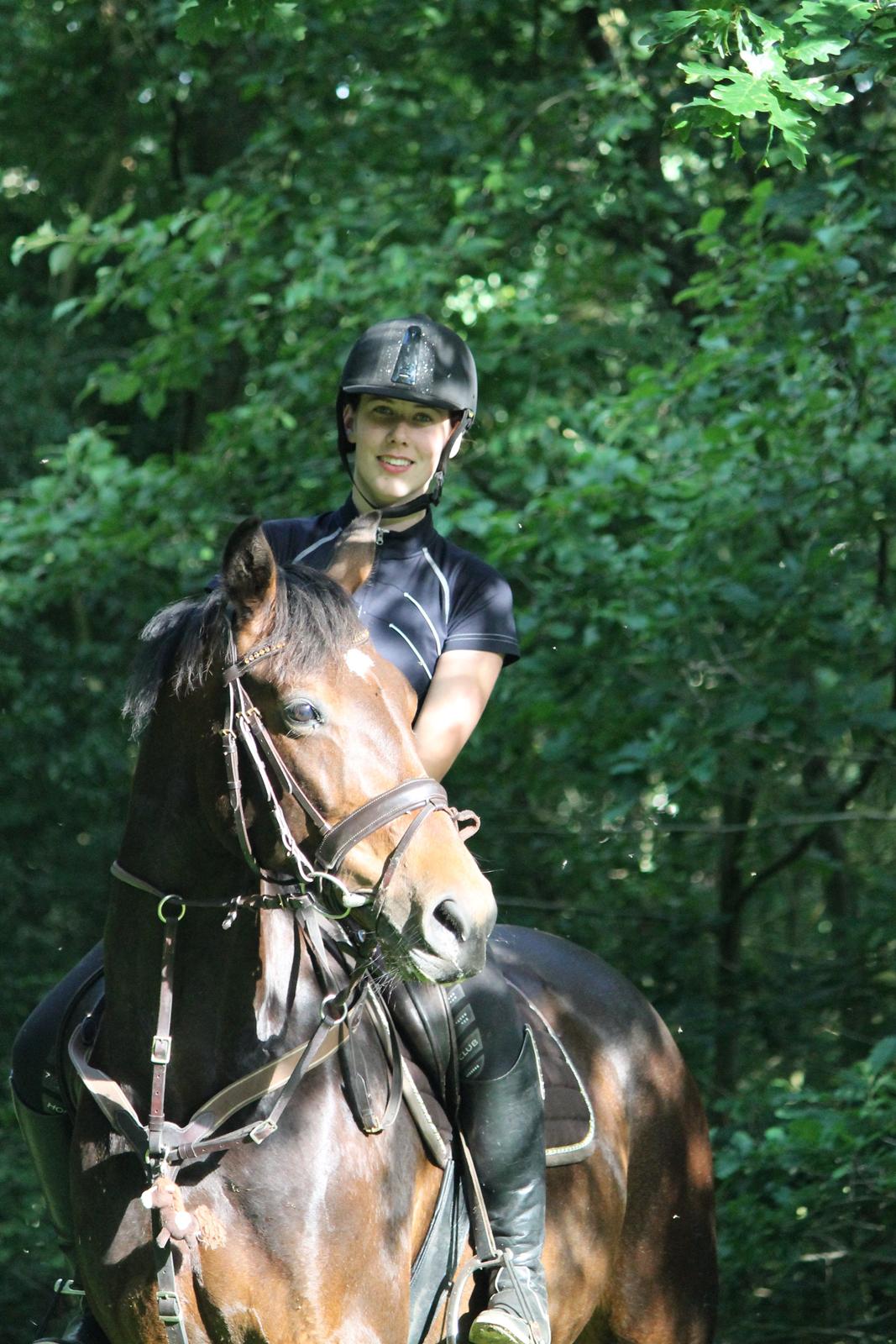 Tysk Varmblod Converta billede 3