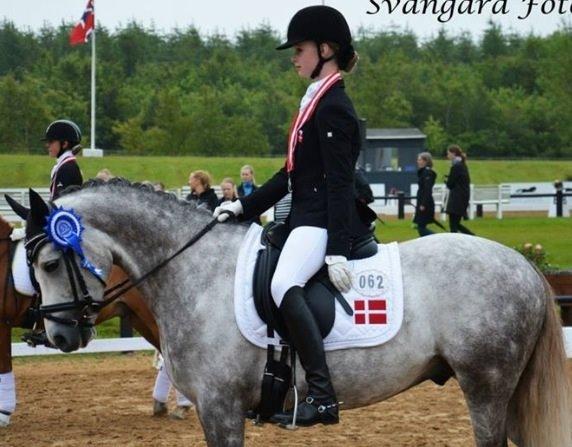 DSP Weber af Kongshøj A pony - Sølv individuelt til Nordisk-mesterskab  billede 17