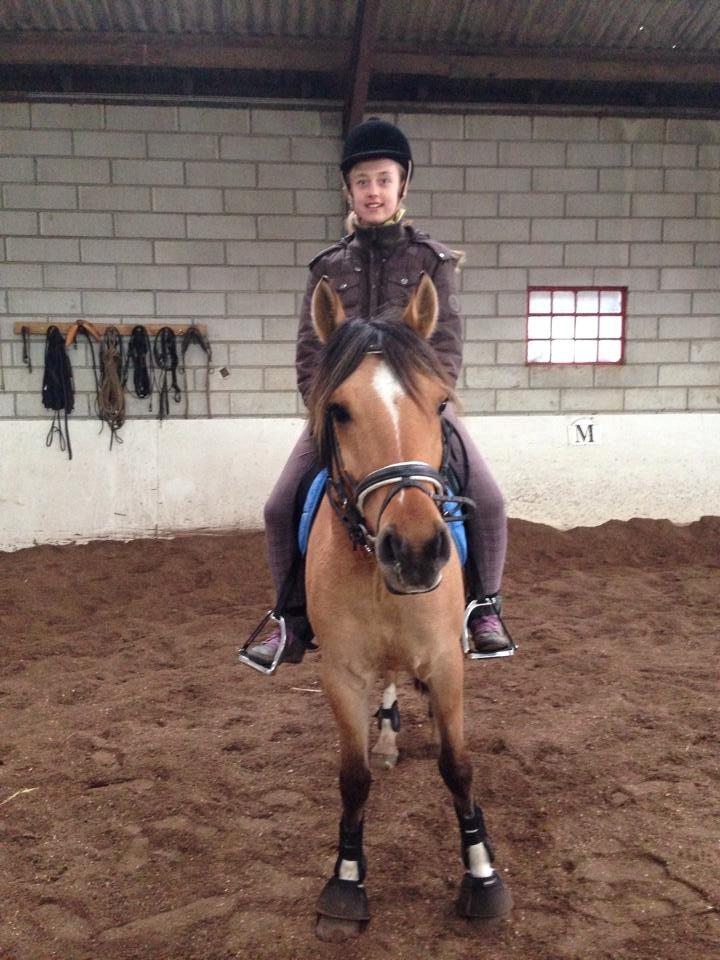 Anden særlig race Proud Polo billede 4