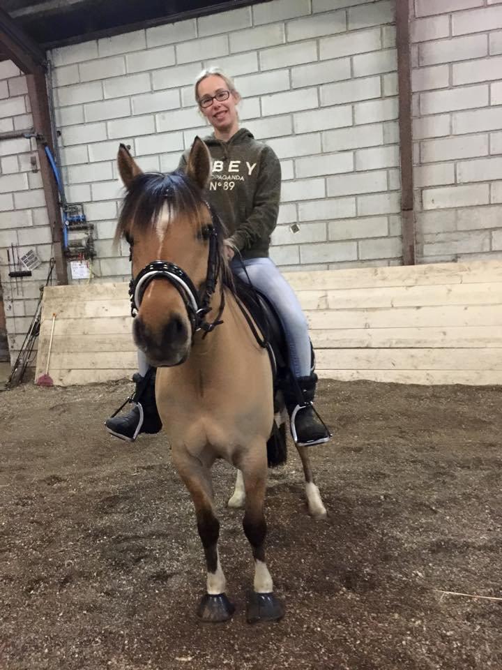 Anden særlig race Proud Polo billede 17