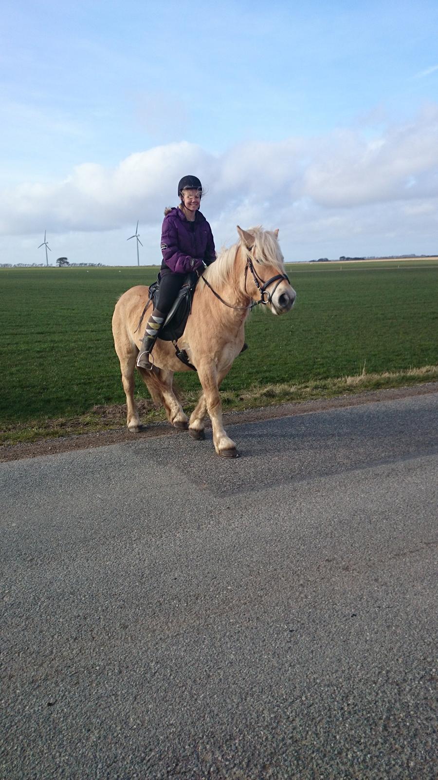 Anden særlig race Anton billede 1