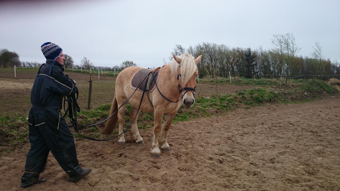 Anden særlig race Anton billede 3