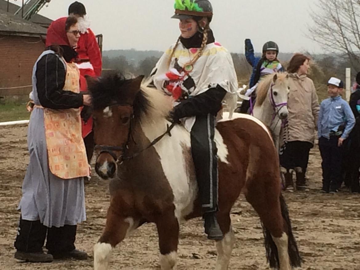 Anden særlig race Sabrine/sabi - Festelavn  billede 2