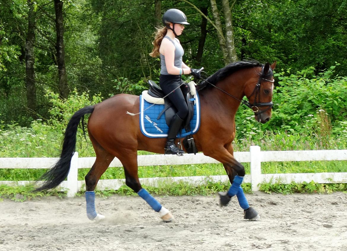 Tysk Sportspony Mini Cooper 5 billede 4