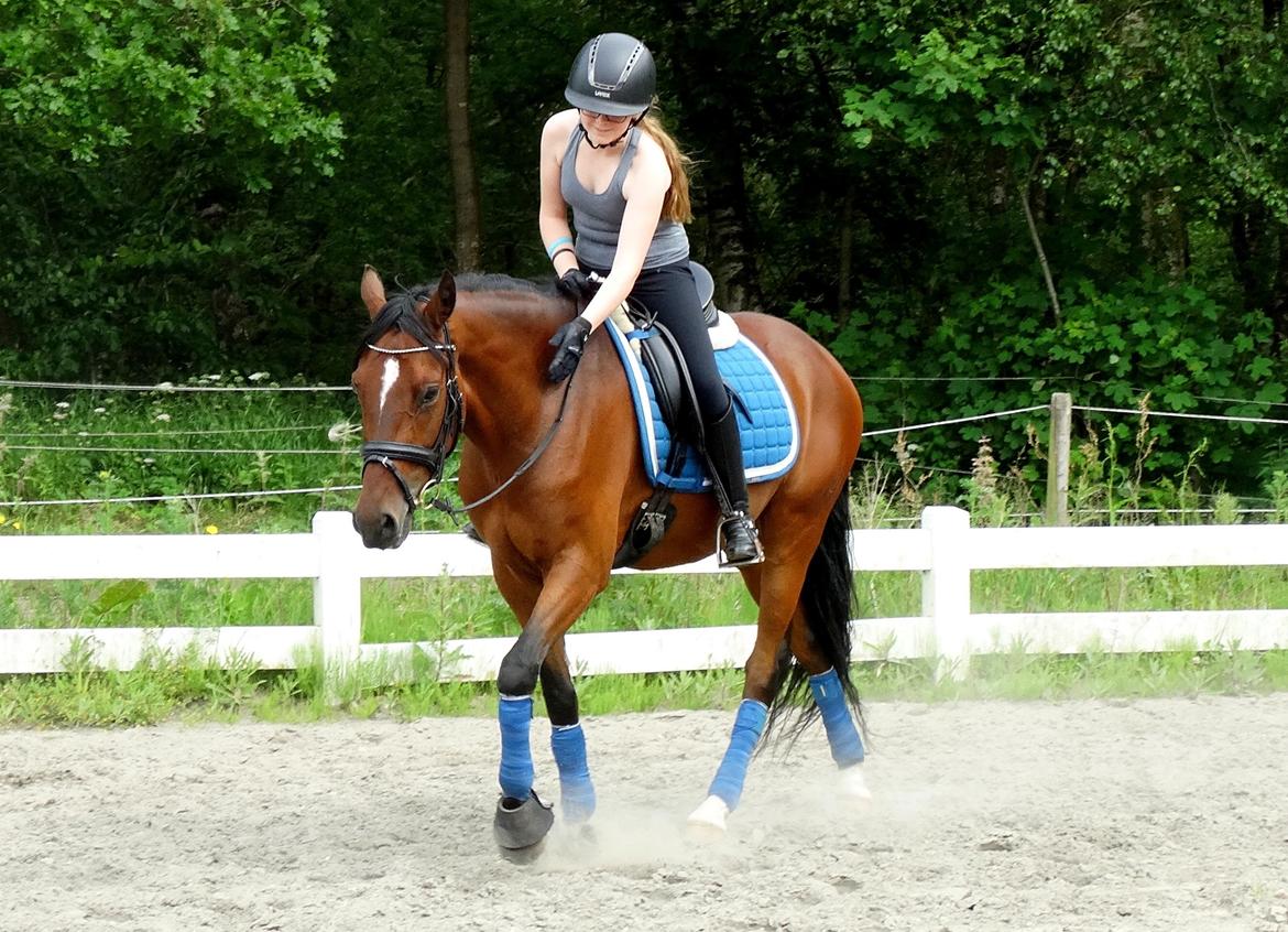 Tysk Sportspony Mini Cooper 5 - læg gerne en kommentar, tak! :) billede 18