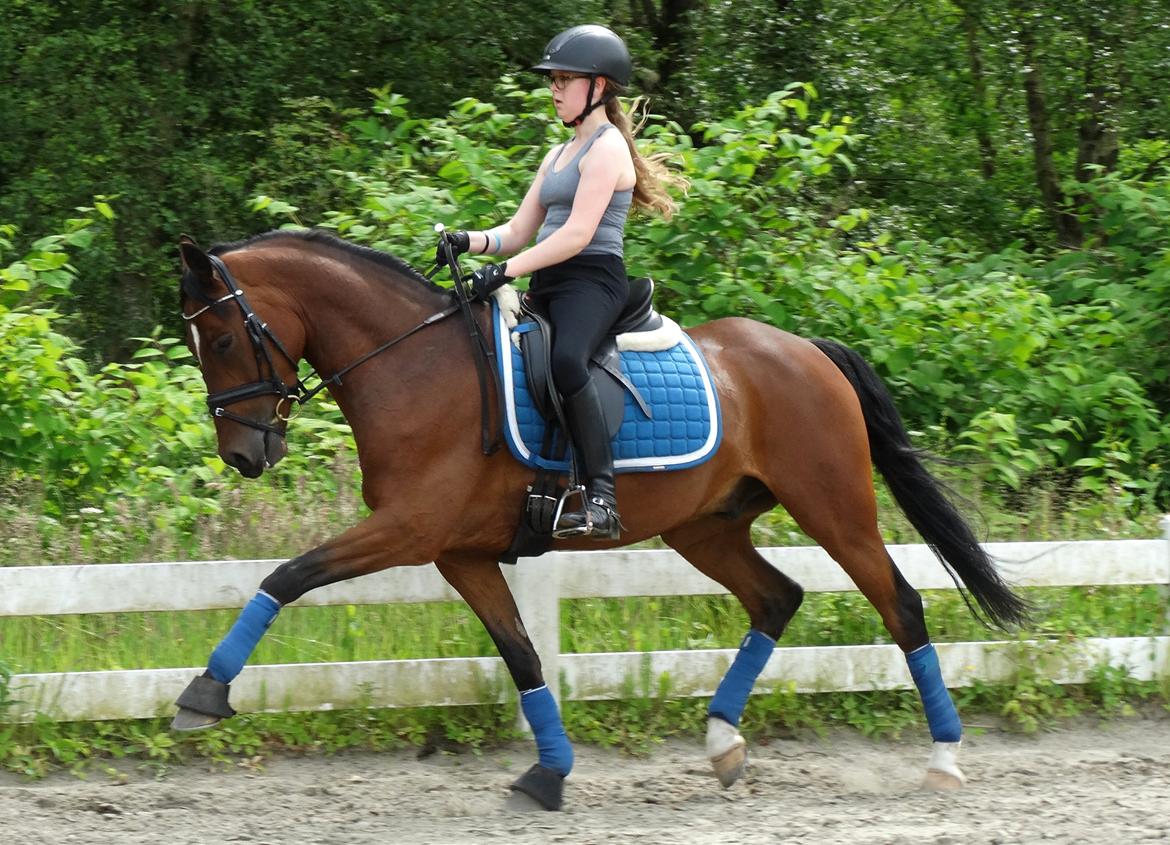 Tysk Sportspony Mini Cooper 5 billede 12