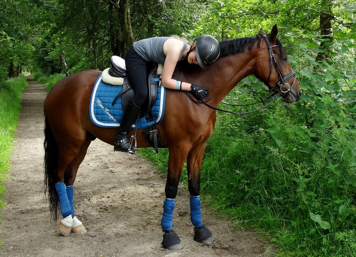 Tysk Sportspony Mini Cooper 5 billede 9