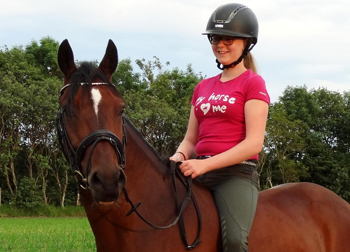 Tysk Sportspony Mini Cooper 5 billede 6