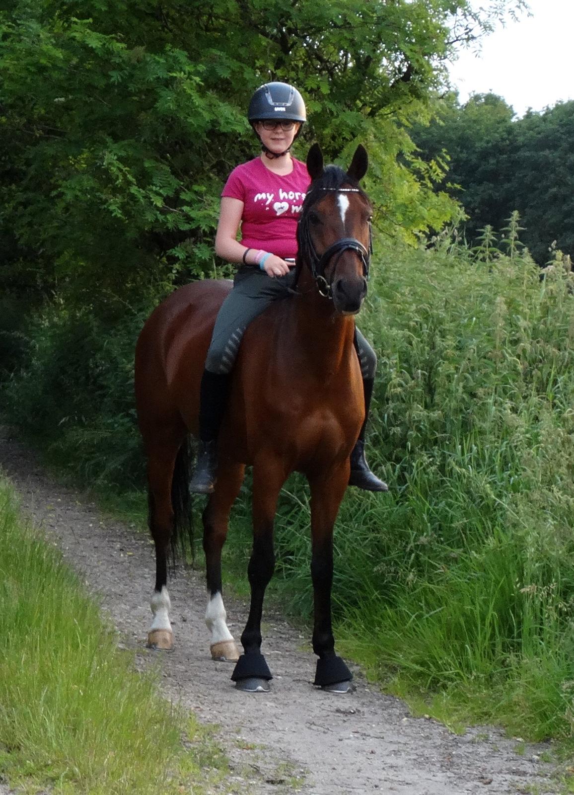 Tysk Sportspony Mini Cooper 5 billede 10