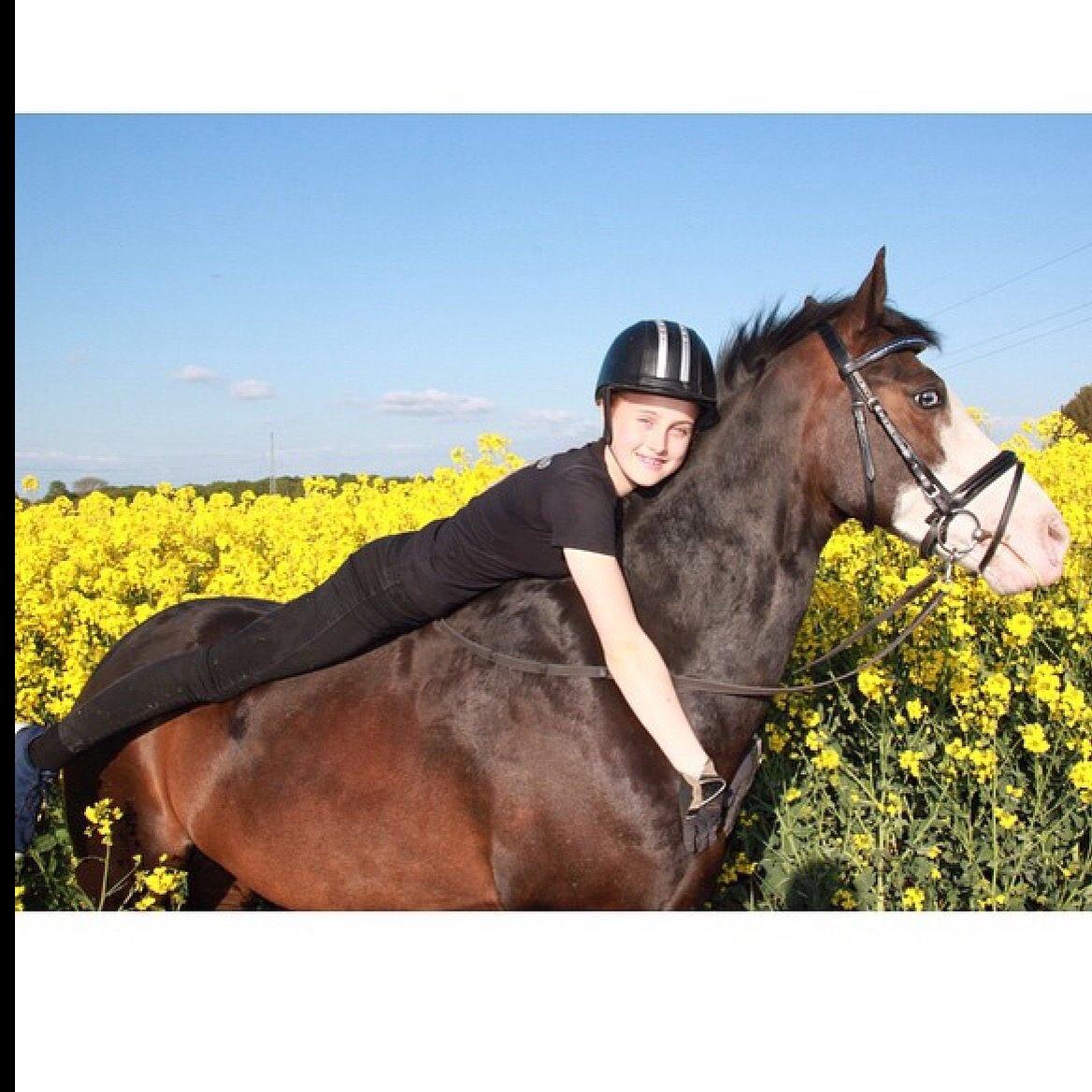 Anden særlig race Bjeldbaks Bingo billede 17