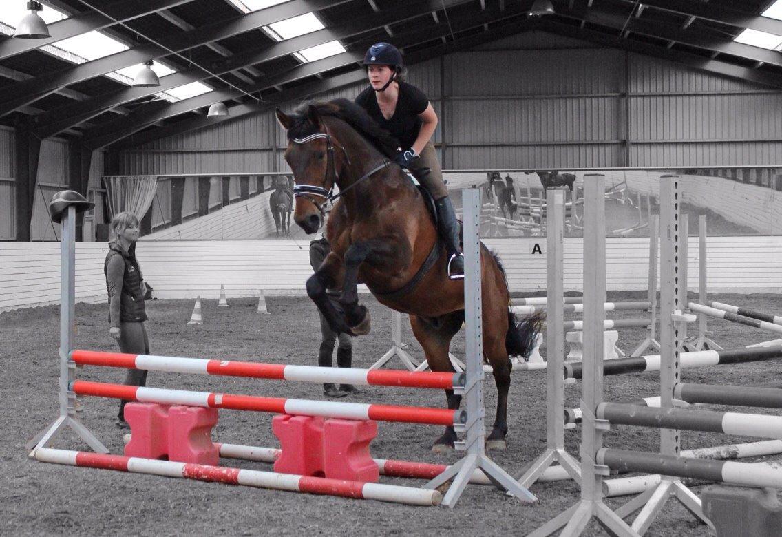 Oldenborg Maks af hejring billede 13