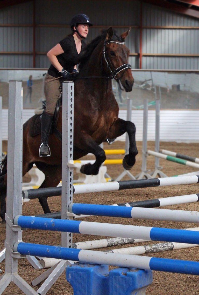 Oldenborg Maks af hejring billede 2