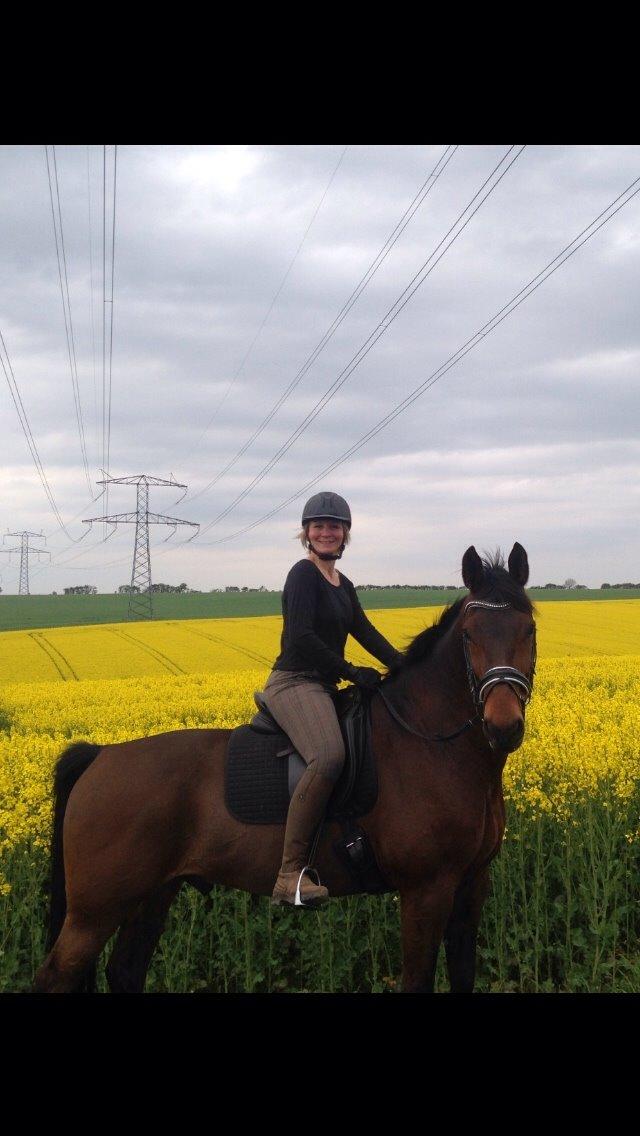 Oldenborg Maks af hejring billede 18