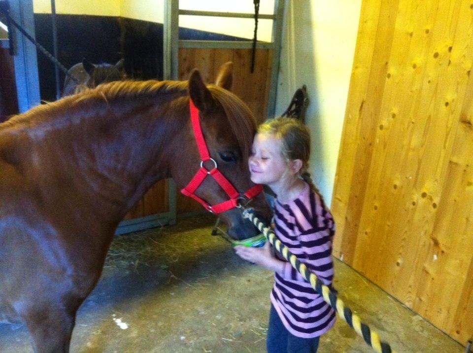 Anden særlig race Lotte billede 8