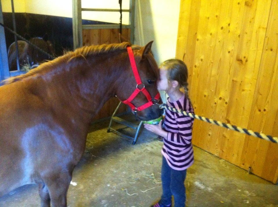 Anden særlig race Lotte billede 9