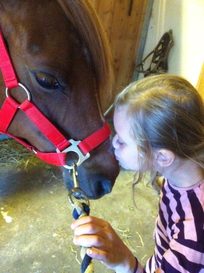 Anden særlig race Lotte billede 10