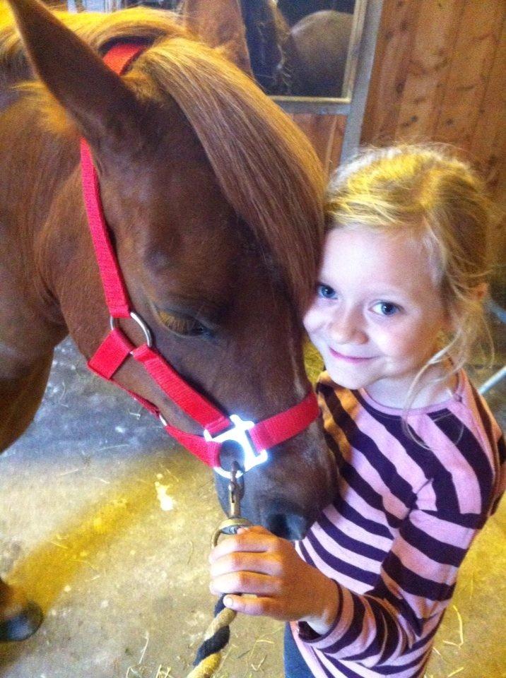 Anden særlig race Lotte billede 11