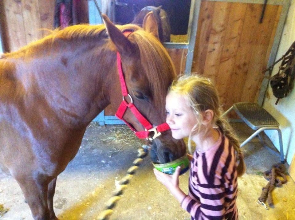 Anden særlig race Lotte billede 12