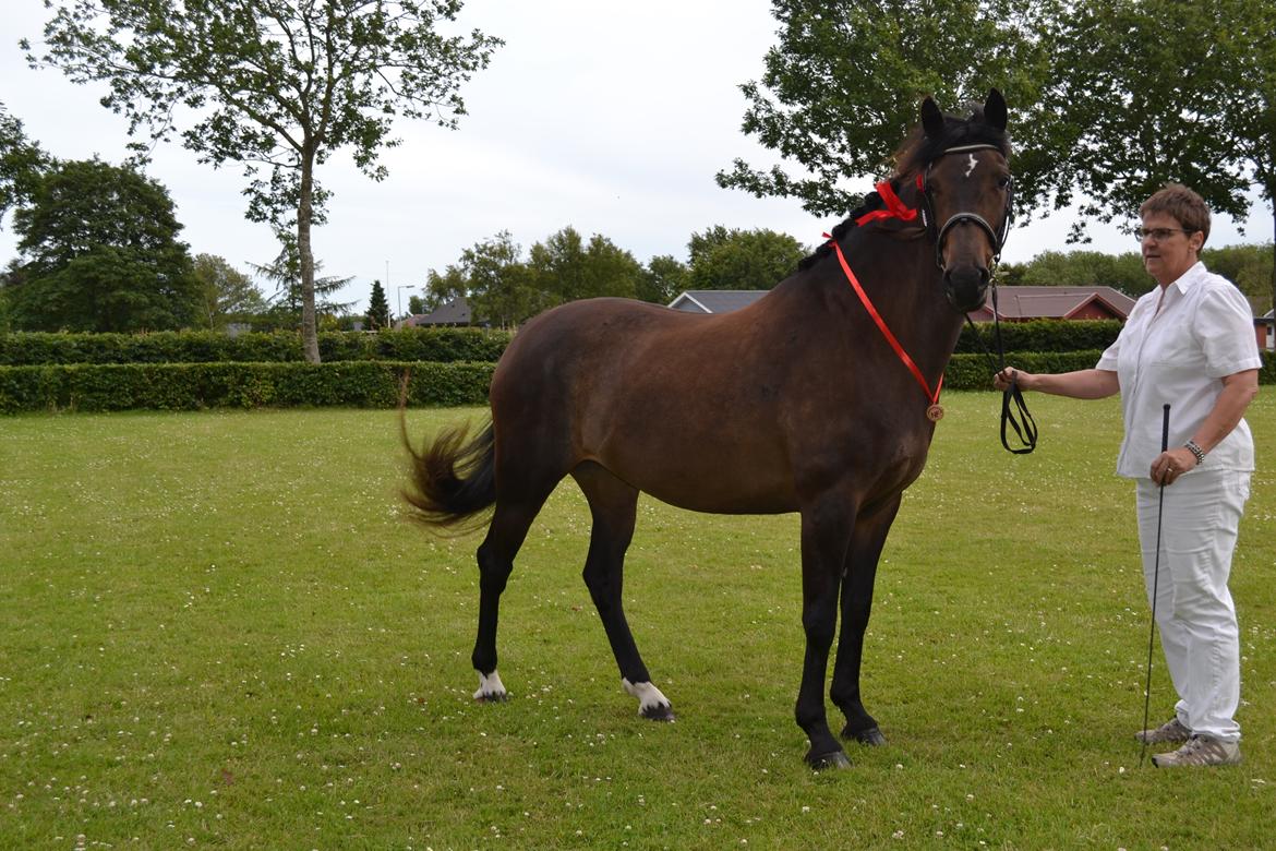 New Forest Elmholts nutella billede 34