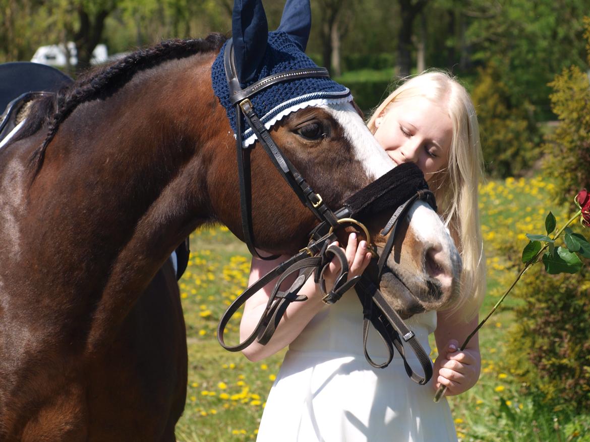 Oldenborg Saxo aka Grisen - Photoshoot til min konfirmation maj 2015 billede 11