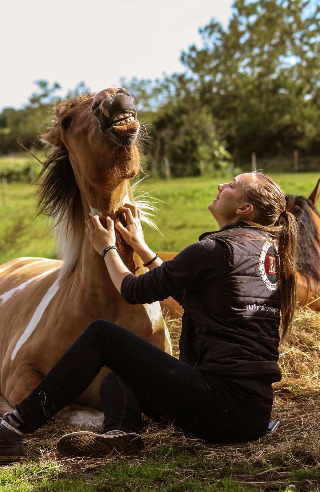 Irish Cob Crossbreed Toftgårds Amigo - Sommeren 2015 billede 19